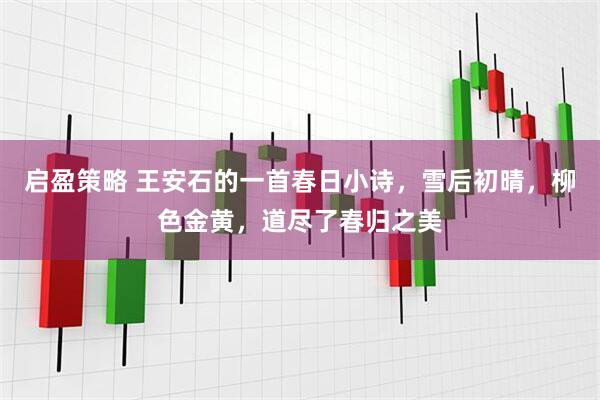 启盈策略 王安石的一首春日小诗，雪后初晴，柳色金黄，道尽了春归之美