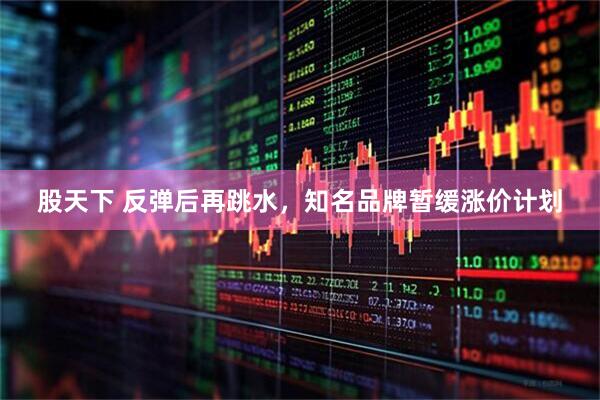 股天下 反弹后再跳水，知名品牌暂缓涨价计划