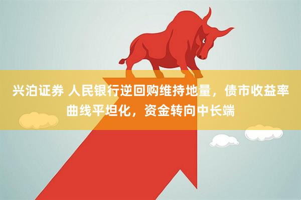 兴泊证券 人民银行逆回购维持地量，债市收益率曲线平坦化，资金转向中长端