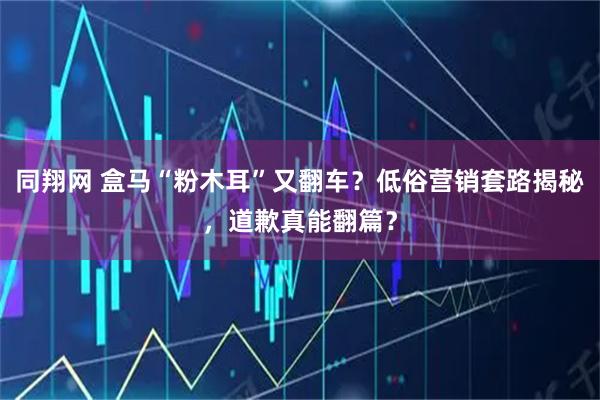 同翔网 盒马“粉木耳”又翻车？低俗营销套路揭秘，道歉真能翻篇？