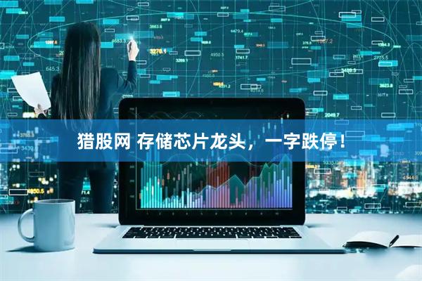 猎股网 存储芯片龙头,一字跌停!