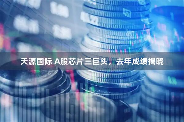 天源国际 A股芯片三巨头，去年成绩揭晓