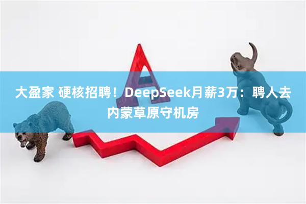 大盈家 硬核招聘！DeepSeek月薪3万：聘人去内蒙草原守机房