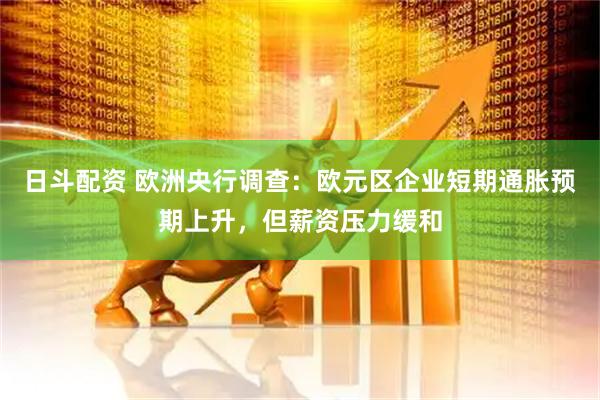 日斗配资 欧洲央行调查：欧元区企业短期通胀预期上升，但薪资压力缓和
