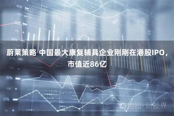 蔚莱策略 中国最大康复辅具企业刚刚在港股IPO，市值近86亿
