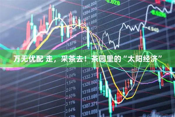万无优配 走，采茶去！茶园里的“太阳经济”