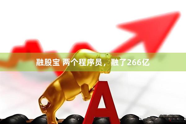 融股宝 两个程序员，融了266亿