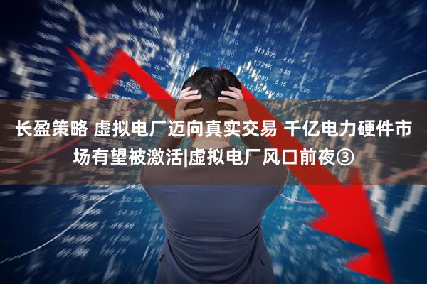 长盈策略 虚拟电厂迈向真实交易 千亿电力硬件市场有望被激活|虚拟电厂风口前夜③